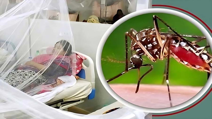 ডেঙ্গুতে অক্টোবরে ৩৫৯ মৃত্যু, আক্রান্ত ৬৭ হাজারের বেশি