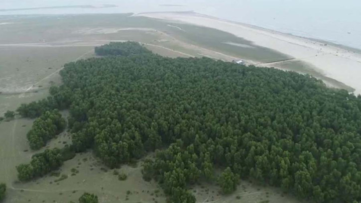 মেঘনার বুকে জেগে উঠেছে অর্থনীতির নতুন সম্ভাবনা